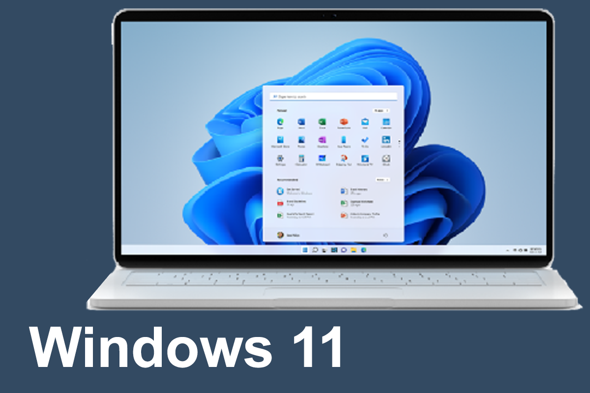 Windows 11